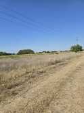 Whatsapp_image_2025-08-11_at_10.52.43_(5)