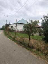 Casa Malu cu Flori - Miclosani