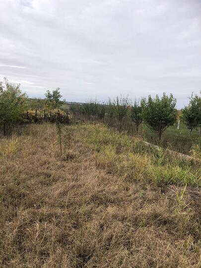 Bab7d227-1f12-48b8-a2d2-848c857ccca6