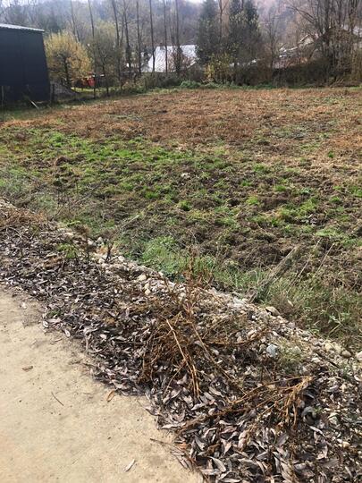 63917bd8-feab-4877-b1ba-3c87a168c4e0