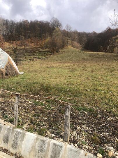 14e82f8d-8312-40f7-9050-6cc9ce684185