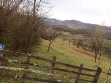 B213cbf6-aacd-4cd4-926a-29b5f558f14a