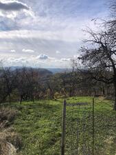 901f6516-ffc5-4702-91ab-074dec5f7dbb