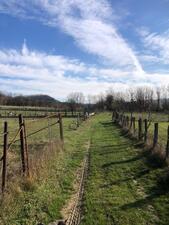 C09f4e70-a440-4123-8eb7-d1897625d6d8