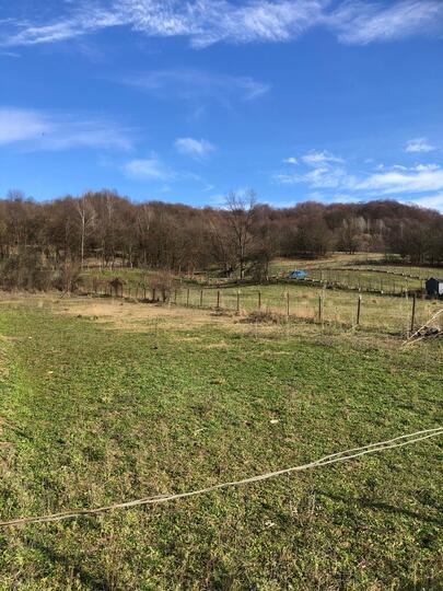 2f738172-a85b-46ba-ac92-232320df18d5