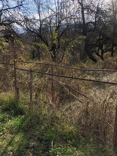 9a1f3903-ed79-4af1-bd58-3ece72cf4f2d