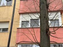 093516e0-099a-4aa5-aac9-b2faeaae4b7b