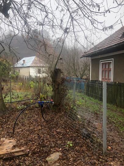 7f00a7b2-d8fa-4e31-a0ca-f621570fa8bb