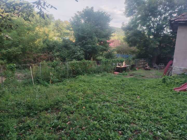 F7da3ed6-c39d-4e37-8b63-e97f2e7bdbd8