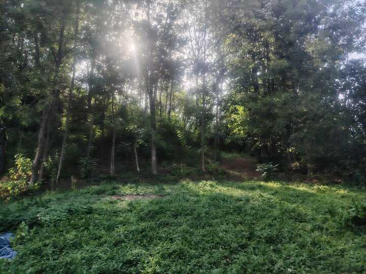 E0506fa0-24a9-4a03-a1b1-beaab9b44024