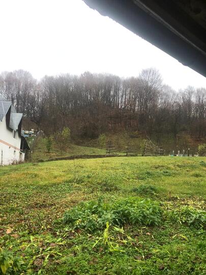 11580fef-9797-4335-acd9-06f3d58f5412