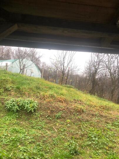 4c07316a-d8ba-4d40-9952-c697e848f2ea