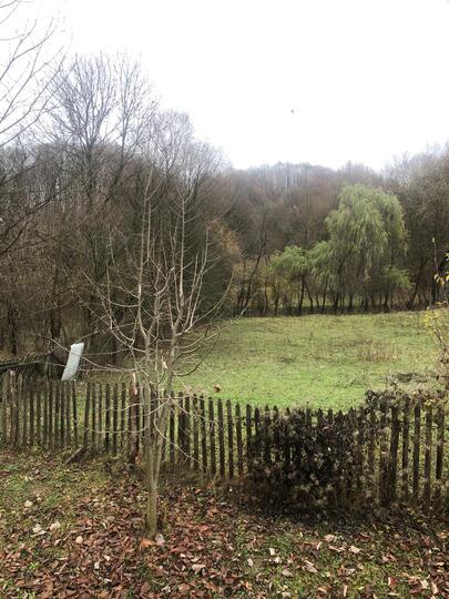 80ef437a-a2f1-4da2-9b62-9d9c86f1df84