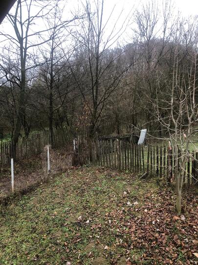 052b92fe-aef6-4d13-86c4-20603743e1a8