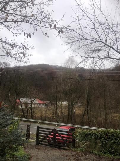 8f8f59b0-fd5e-44d0-b998-5f8ed967c9df