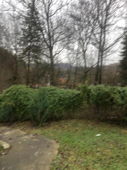 1d12f8b0-68ec-4d91-9c09-a20814ab995a