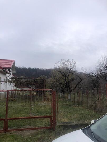 C7c67e16-83b3-4ce2-8dba-02721806d3a8