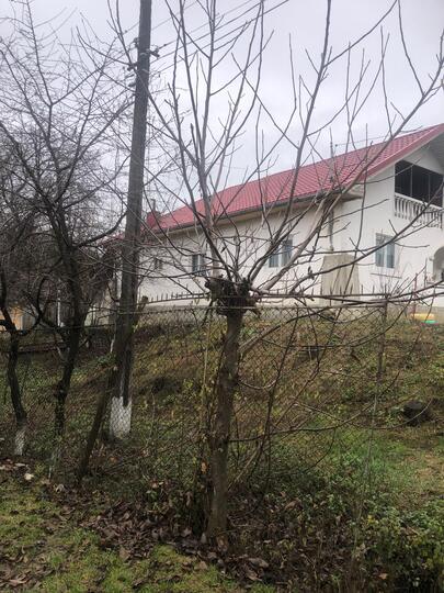 5189ad3e-a41f-4b73-b689-4530d12ad0c9