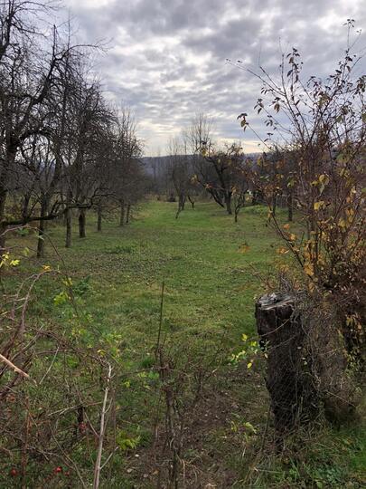 C26f55cb-ec48-44f1-9a85-b01e2f87eb2d