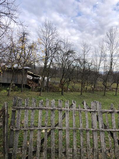 6bc77c21-0bfd-488e-8a1b-e2a2ac238a02