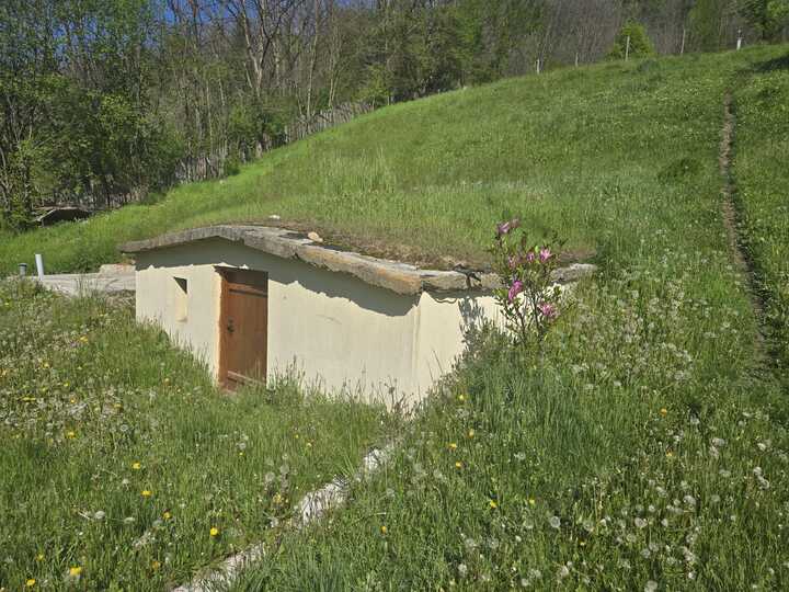 04a14218-0ade-446e-bae7-c97b9e377263