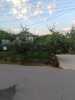 Eb03b330-f0af-4dab-8771-70626450b329