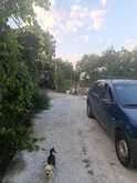 1f1da367-fe78-4994-92f3-d7807accb034