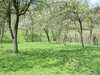 Dscn1845